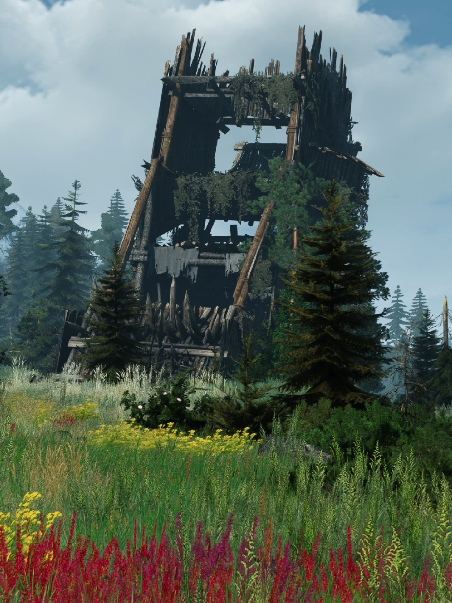 Skellige Isles #witcher #skellige #videogame #thewitcher3 