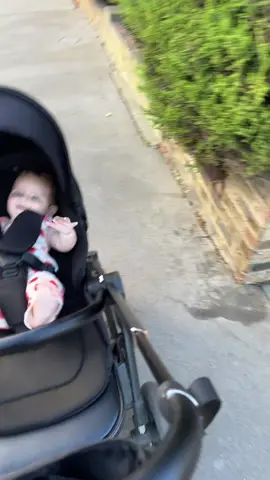 The reveal 🤣 🐕 #dogclippers #doggeoomersoftiktok #dontgiveupthedayjob 