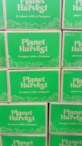 This past weekend, Planet Harvest proudly contributed thousands of pounds of fresh fruits and vegetables to StyleSaves’ Back-to-School event, nourishing 25,000 Miami families with boxes filled with pineapples, avocados, mangos, bananas, and more. 💚 Guided by our mission to support small farms while expanding access to fresh, nutrient-rich produce, we are passionate about helping farmers and communities thrive.  Style Saves is the largest back-to-school event in the country. Honored to support this incredible effort and grateful to @Isabela Grutman, Rachael Russell, and the entire StyleSaves team for their powerful work uplifting our community. 🍍🥑🥭🍌 