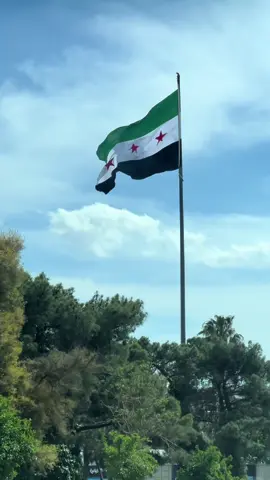 #انعم_الله_على_الشام_ببني_آمية 🇸🇾#بني_امية #الشام #سوريا 🇸🇾🇸🇾🇸🇾#سارو_نحو_الشام 🇸🇾🇸🇾🇸🇾