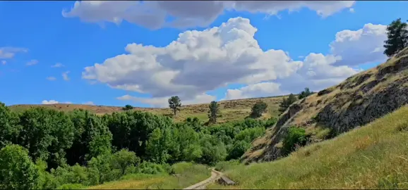 #bozovaşanlıurfa #keşfet #bozovaçatak📍 #storilik #bozovahevag                        . . 📲 Daha fazlası için bizi sosyal medyadan takip edin: 🔹 Instagram / TikTok / Facebook / YouTube @bozova.hewag