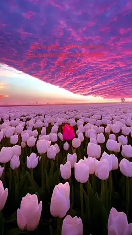 #amor #menciona #fypシ #paratiiiiiiiiiiiiiiiiiiiiiiiiiiiiiii #viral 