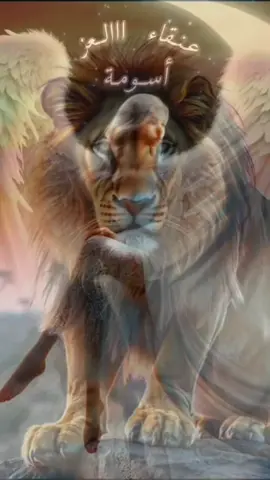 #هاذي_هيا_كما_عرفتها  #⚔️وحيد👑وصامت⚔️ @☕⚔️ عٌـنِقُأّءآآآآلَـعٌـﺰ ⚔️☕  