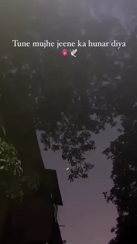 Tu hi bharosa zindagi ka🥺❤️ #tunemujhejeenekahunardeya 