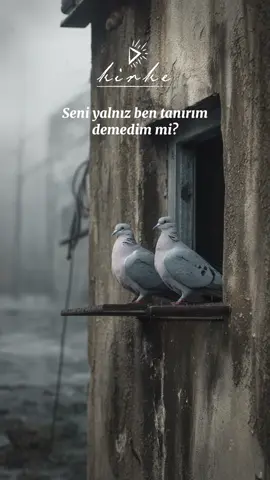Demedim mi? Mevlana Celalettin Rumi #şiir #mevlana 