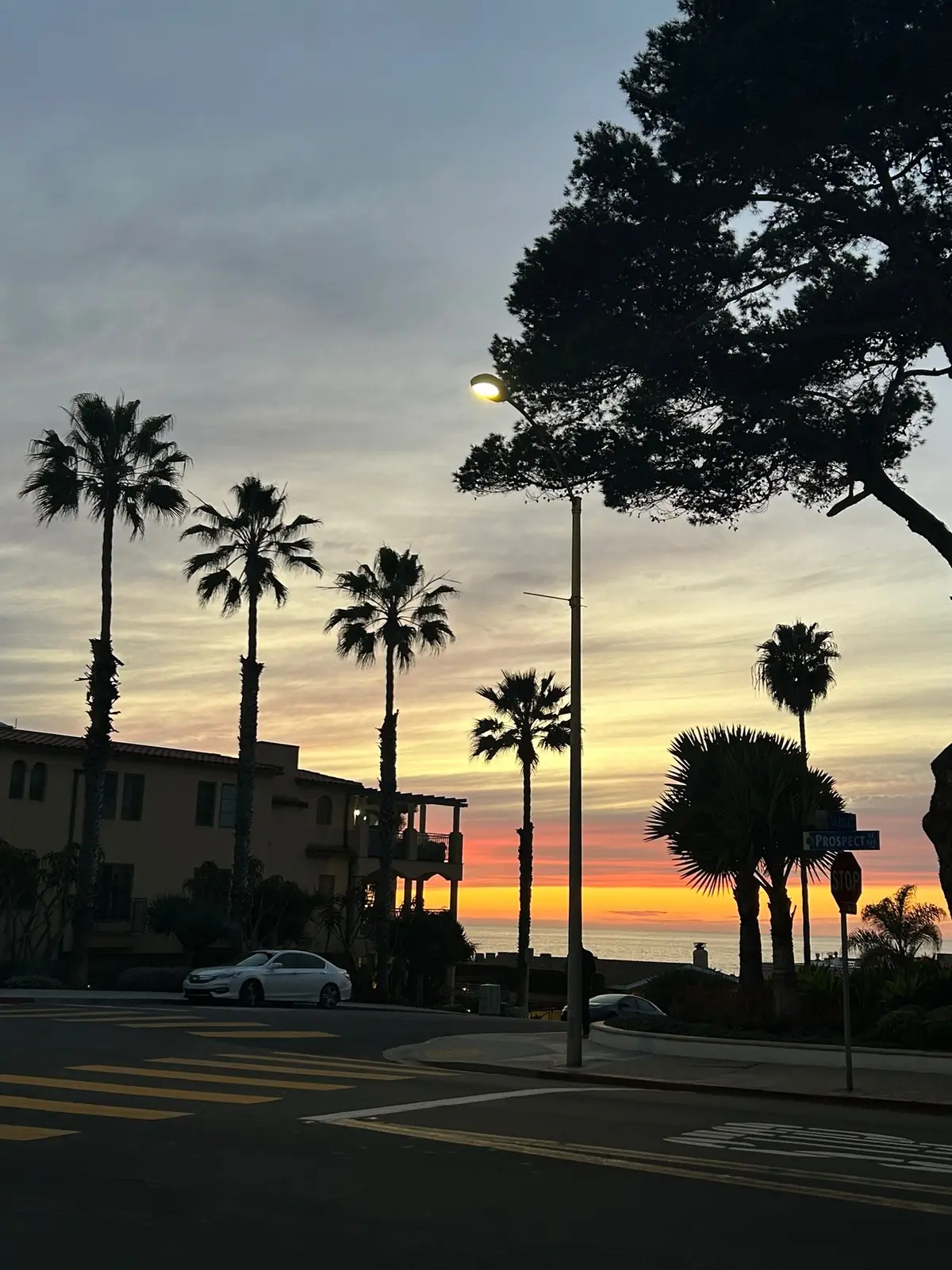 Golden state views, alimages style🍟 Photos captured by @Lils🖤   #fiverr #alimagesllc #webdevelopment #virtualassistant #upwork 