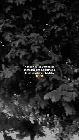 #realyy💔😭 #xnuun💔😭 #jaceyloww💔😭 #ciiil😭💔 