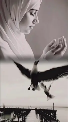 #ادعية_اسلامية_تريح_القلب #اللَّهُم في ليلة الجُمعة اجبُر خواطرنا وإشرح صدورنا ويسّر أمورنا وإجعل هذه الجمعة فرجُ لكل صابر وإستجابه لكل دعاء.. 