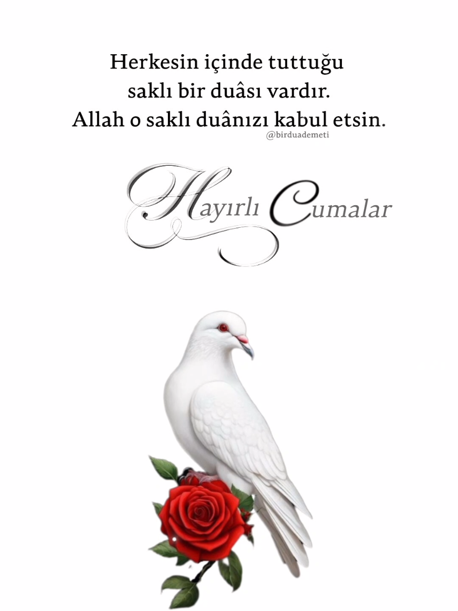 🤍 Herkesin içinde tuttuğu saklı bir duâsı vardır. Allah o saklı duânızı kabul etsin. #hayırlıcumalar 