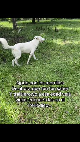 #fyp #paratii #siganviendo