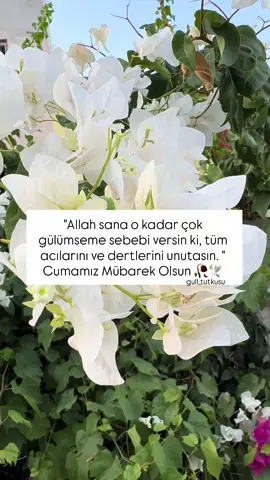 Cumamız Mübarek Olsun 🥀🕊️ #cumamesajı#cumaduası#cumamızmübarekolsun #hayırlıcumalar #keşfettiktok 