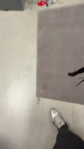 Cave Stone 4’s dropping 9/6 #fyp #viral #foryoupage #jordan4 #jdsports 