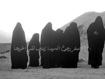 عادة لهم ولكن بقبورهم 😔❤️‍🔥 #زيارة_الأربعين #الحوراء_زينب #الحسين_عليه_السلام #العباس_عليه_السلام #سيد_فاقد_الموسوي 