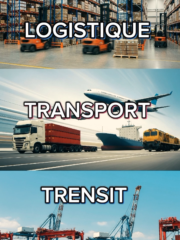 Logistique transport et  trensit quelle est la différence  #logistique #transport #info #apprendresurtiktok #business 