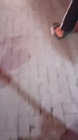 اكبر راية شفتها خلال طريقي الى الحسين واخيه العباس عليهم السلام #ياابا_الفضل_العباس #ياحسين #كربلاء #المشايه 