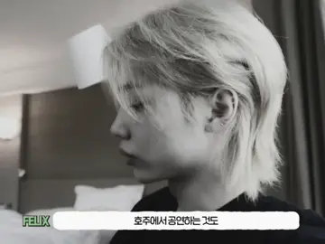 basado en hechos reales no feik🥺💔 #hyunlix #skz #identificarse #pareja #podercerdito❤️ 