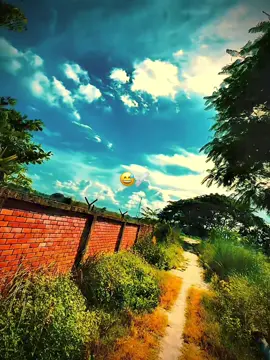 Kotha bastob!😅 #sourob_broh_007 #nhk_sourob_67 #frypgシ #tiktok?bangladesh #viral 