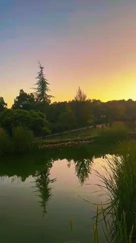 #maroc #hotelmichlifen #ifrane #fypシ゚ 