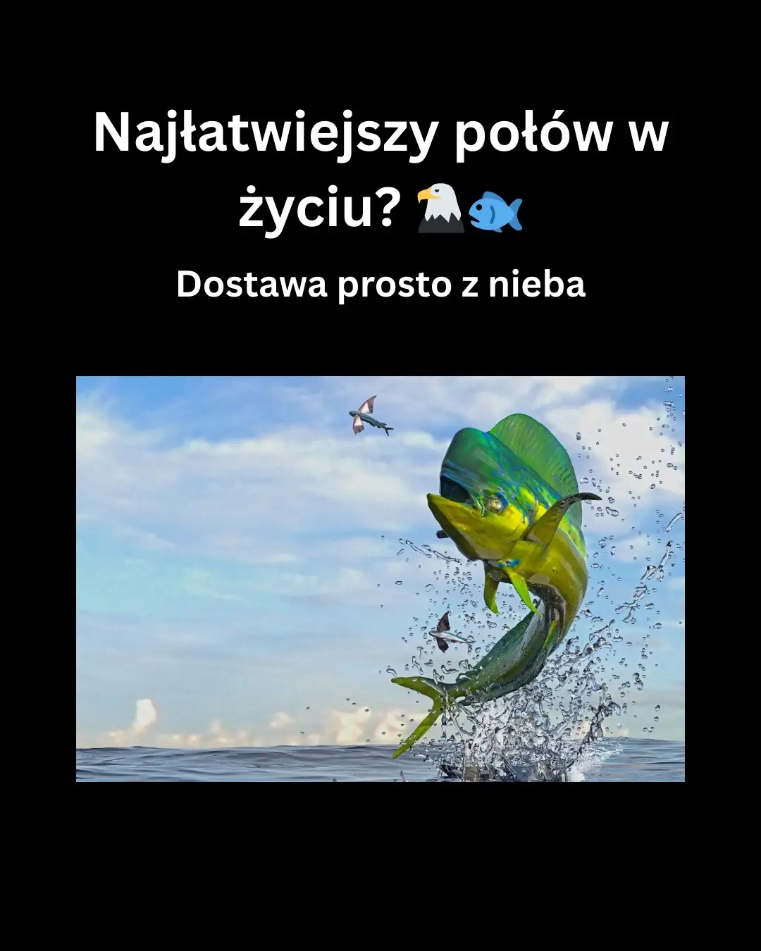 #ryby #wedlarstwo #fyp #dc 