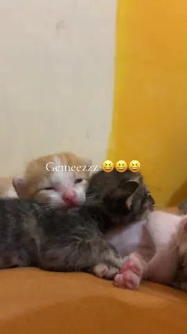 Gemeznya 😭