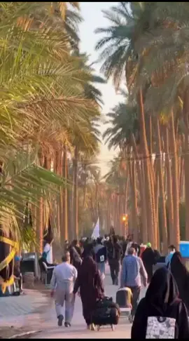 #مشاهدات #عشاق #الامام #الحسين #العراق🇮🇷_🇮🇶ايران🦁 