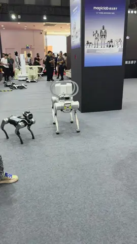 The World Robot Conference held from August 8 to 12, 2025 at Beiren Yichuang International Convention and Exhibition Center in Beijing.  # Automation and Machine Vision # Humanoid Robots # Industrial Robots # Manufacturing # Robotics # China # Beijing