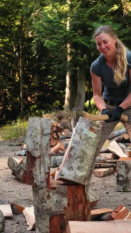 Keep chopping that Alder 