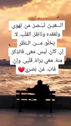 #كسبلور_explor #tiktokarab #habesha 