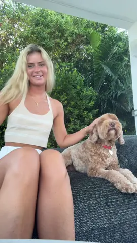 Waffles was made for the camera 👀