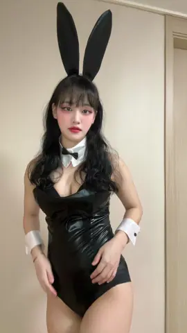 토끼가 되어버린 고양이
