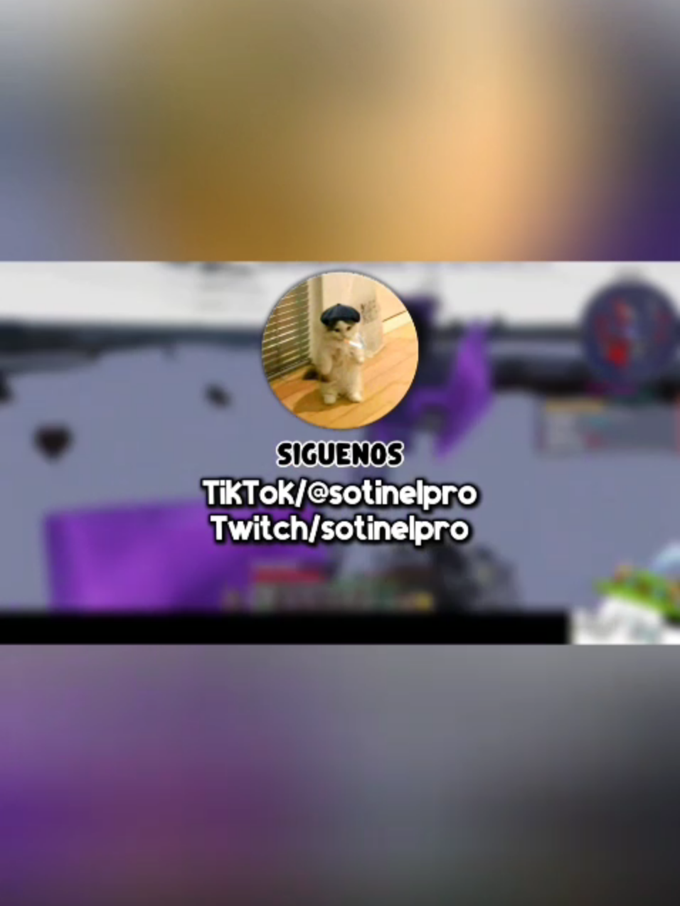C sotin #everyone #fyp #foryoupage #foryou #Minecraft #like #live #memes
