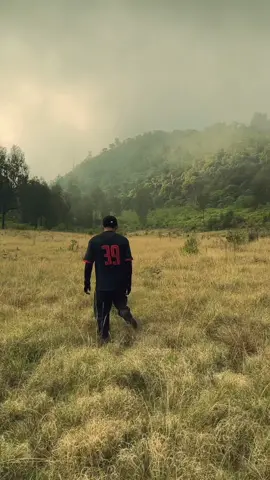 msih dalam misi mencari narnia  . . . #fantasy #goldenbrown #medieval #narnia #alam #nature #mountain #gunung 