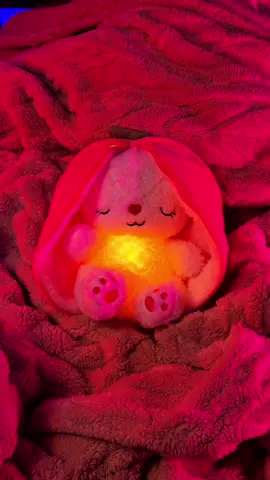POV: Peace. That’s how this breathing bunny makes me feel❤️‍🩹 