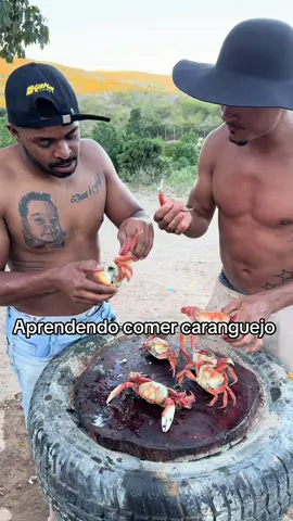 Aprendendo comer caranguejo 