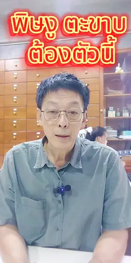 #tiktoklive #งูพิษ#สัตว์มีพิษ #โลดทะนงแดง #แพทย์แผนไทย