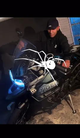 TRIUMPH 🐯🦈 #triumph #tiger #street #motoedit #fy