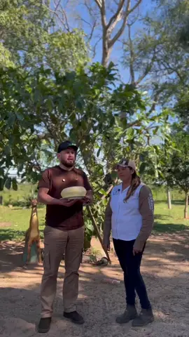 Felicidades exito siempre nos alegra ver nuestro cliente trabajar y salir adelante granja la familia sampedro nuestra línea genética Jersey #livehighlights #tiktoklive #LIVEhighlights 