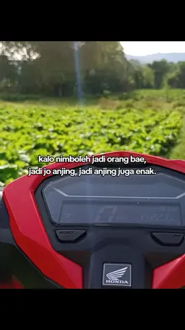 😭🤌#fyp #xyzbca #fypviral #manadosadap🔥 #tomohonpunya 