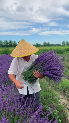 We are not selling products to you, but take natural beautiful things and happy life to you! Enjoy the nature together! #3hlink #Lavender #palmleaves #driedflowers #3hlinkflower #preservedflower #bohodecor #pampasgrass #hydrangea #homedecor #weddingdecoration #babybreath #handmadecrafts #hoteldecor #luxurydecor #flowerbouquet #flowerboxes #flowerbouquets #hydrangeas #christmasdecor #christmasflowers #preservedtree #witchbroom #christmas #driedflowerwholesale #cassiacinnamon #amarantus #willowbranch #minihaybales #decorhaybales 