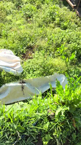 🤩🤩 #vavarioan #varionistyindonesia #fyp 