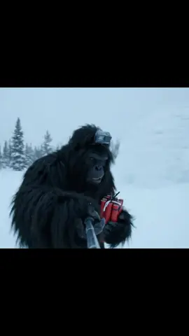 #fouyou #fyp #viral #funny #bigfoot 