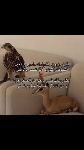 #خالد_ال_بريك #بدون_موسيقى #explore #fyp #tiktok  