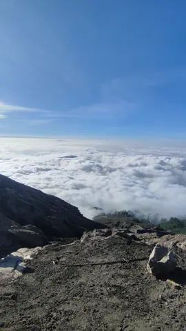Raung via Sumberwringin #raung#fyp#gunungraung#beranda#lautanawan 