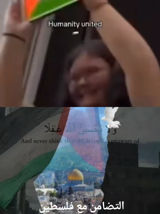 ‏#دويتو مع @lbouzidi22👽🥷🇵🇸🇲🇦 #فلسطين #اليمن🇾🇪 #غزة_العزة🇵🇸 #creatorsearchinsights 