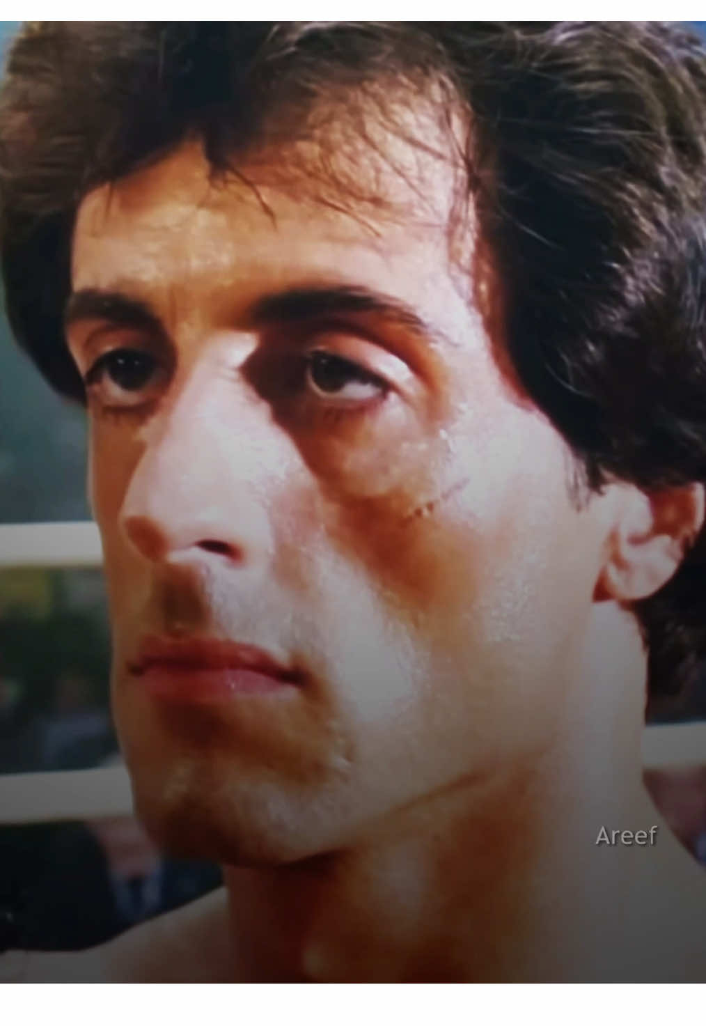 here. #fyp #viral #Falcons #ابوعمر #rocky @Bo3omarEats 
