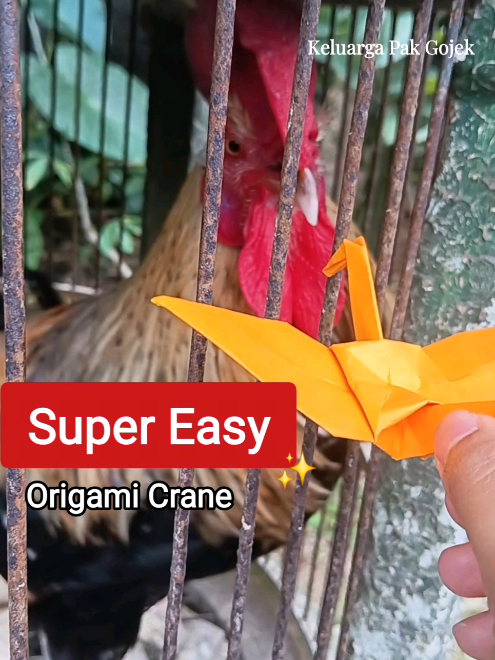 ✨️ From Paper to Crane in 20 Seconds | ¡Manualidad Fácil! 🤩  #Origami #DIY #Art #Cute #Crane #TikTok #Trend #Reels #Shorts #FYP #Viral #ViralVideo #Trending #Relatable