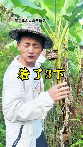 #myreallife #fypシ #viraltiktok #shorts 