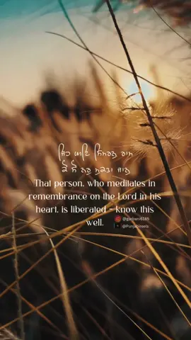Part 13 of salok mahalla 9 series. This series is coming to an end please follow for more content like this #followme #fyp #waheguru #punjabireels #waheguru_mehar_kre 