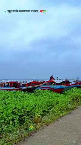 - মন মাঝি খবরদার আমার তরী যেন।  হালতির বিল পাটুল মিনি কক্সবাজার নাটোর। #হালতির_বিল_পাটুল_নাটোর #natore_district #patul_mini_coxbazar_natore #পাটুল_মিনি_কক্সবাজার_নাটোর❤️ #songvideo 
