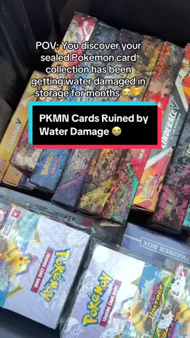 This is a collossal disaster. I didn’t know the storage box that had part of my sealed collection of Pokemon cards was getting water in it. It’s currently end of summer, so that means this was getting wet like 5 or 6 months ago & these boxes have been sitting in trapped water for that long. So much is ruined.  Hundreds of dollars gone - maybe even way more if I take inventory of everything. Guess I’ll do unboxing rip videos of all the salvageable cards now 😭😭 I’m devastated tbh. Omg why.  Note: no, I’m not a “scalper” I collect sealed boxes. Well guess not anymore. 😭 #pokemondisaster #pokemon #pokemoncenter 